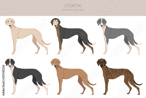 Chortai clipart. Different poses, coat colors set