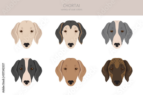 Chortai clipart. Different poses, coat colors set