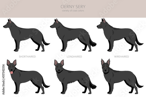 Cierny Sery clipart. Different poses, coat colors set