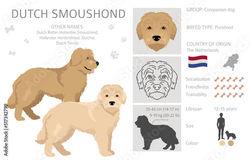 Dutch Smoushond clipart. Different poses, coat colors set