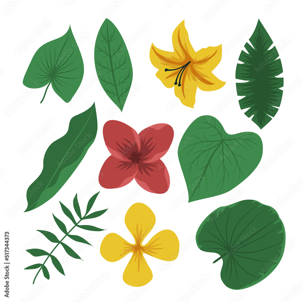 Vintage Set of Green Tropic Flower, Foliage Collection with colorful floral Botanical bundle Elements. Nature of plants garden. Hand drawn Flat Style, suitable for wedding invitation or banner 