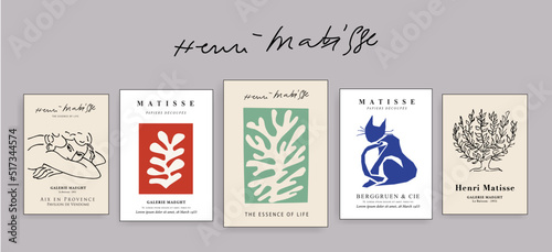 Matisse Abstract Art Set, Aesthetic Modern Art, Boho Decor, Minimalist Art, Illustration, Vector, Poster, Postcard. Collection for decoration. Vector all isolated. Set of abstract trendy creative art.