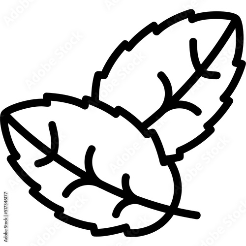 Spearmint Icon