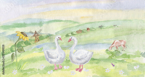  Rural landscape with geese and a cow. Watercolor illustration.