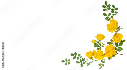 Flower arrangement of yellow roses.