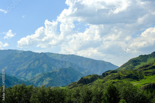 The mountains are overgrown with green trees. Pine trees, Christmas trees in the mountains. Nature of Canada. Nature of Russia. The nature of the United States.