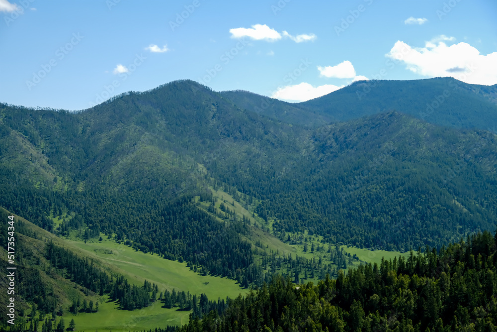 The mountains are overgrown with green trees. Pine trees, Christmas trees in the mountains. Nature of Canada. Nature of Russia. The nature of the United States.