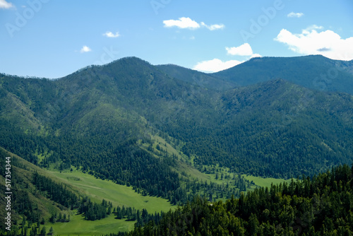 The mountains are overgrown with green trees. Pine trees, Christmas trees in the mountains. Nature of Canada. Nature of Russia. The nature of the United States.