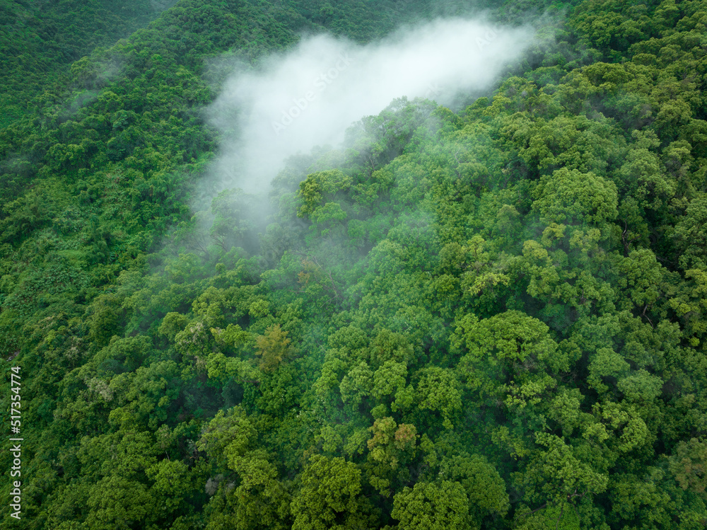 Aerial view of beautiful forest mountain landscape Aerial view of beautiful forest mountain landscape