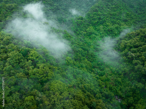 Aerial view of beautiful forest mountain landscape