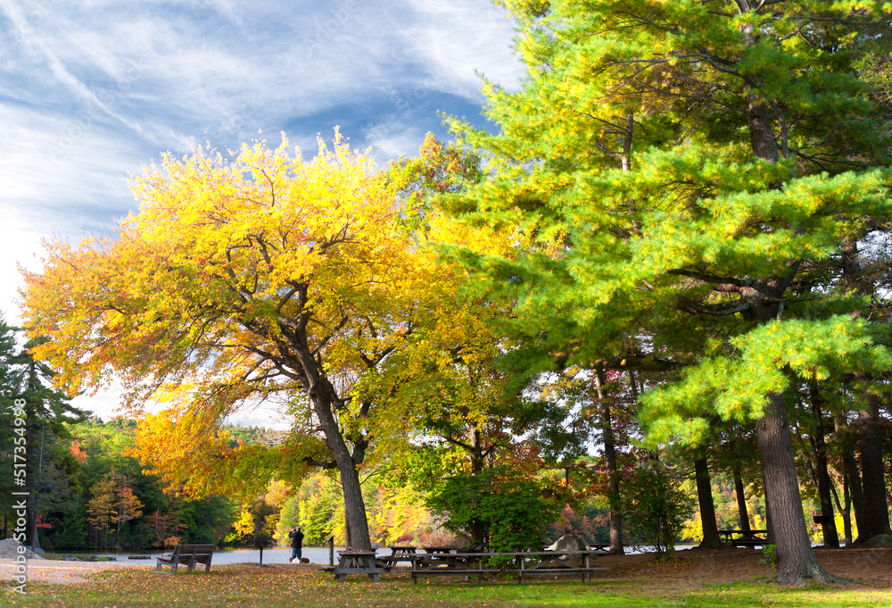 Naklejka premium Burr Pond State Park Torrington Connecticut autumn