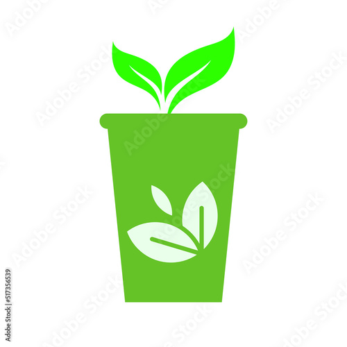 plant in a pot