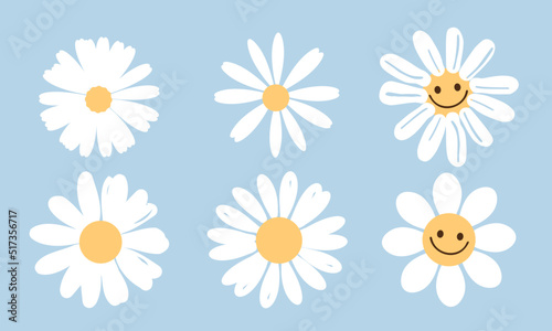 Set of daisies on blue background vector. Cute hand drawn flower.