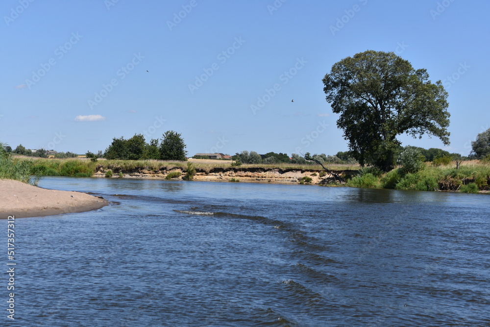 rzeka Warta, Wielkopolska, woda,  - obrazy, fototapety, plakaty 