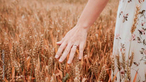 Wheat sprouts field. Young woman on cereal field touching ripe wheat spikelets by hand. Harvest and gold food agriculture concept.