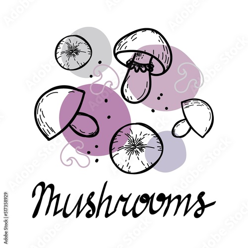 Mushrooms, hand-drawn doodle in sketch style. Isolated elements on a white background. Mushrooms mushrooms. Abstract spots. Vector in a simple style.