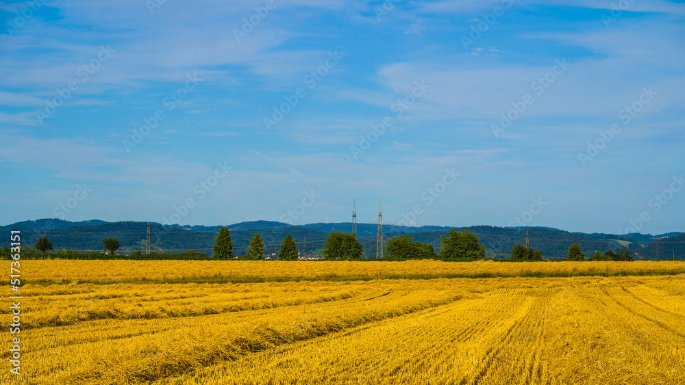 Landscape with rows of straw on agricultural flield, hills and blue sky clouds in background