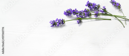 Lavender flowers on white wood background. Copy space