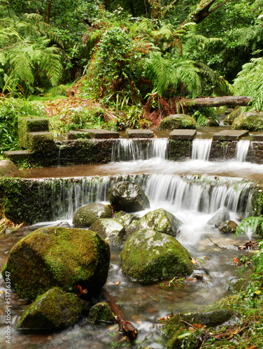 Wasserfall im gr  nen Wald - Madeira