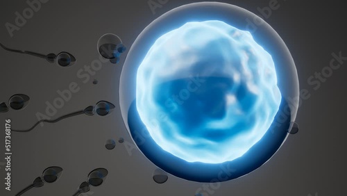 Wallpaper Mural sperm and egg cell. model of microscopic research Torontodigital.ca