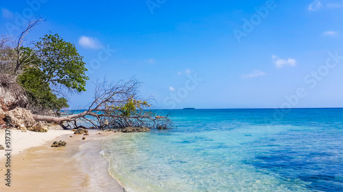 Maldives paradise scenery. Tropical landscape, seascape with large background with copy space. Amazing sea and lagoon beach, tropical nature. Exotic tourism destination banner, summer vacation © Stockwars