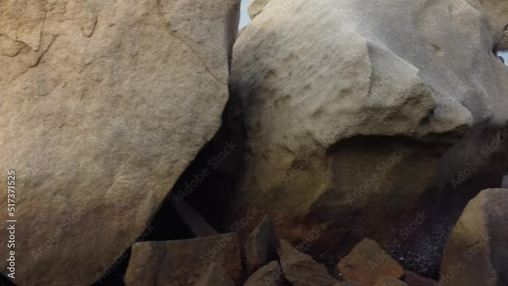 rocks rocks