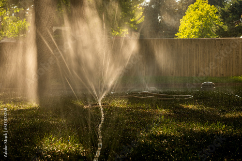Pipes watering plants in hot summer. Irrigation system. Lawn sprinkler. Grass irrigation system.