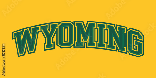 T-shirt stamp graphic, Sport wear typography emblem Wyoming vintage tee print, athletic apparel design shirt graphic print photo