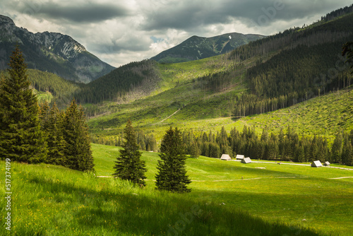 Fototapeta Naklejka Na Ścianę i Meble -  Tatry