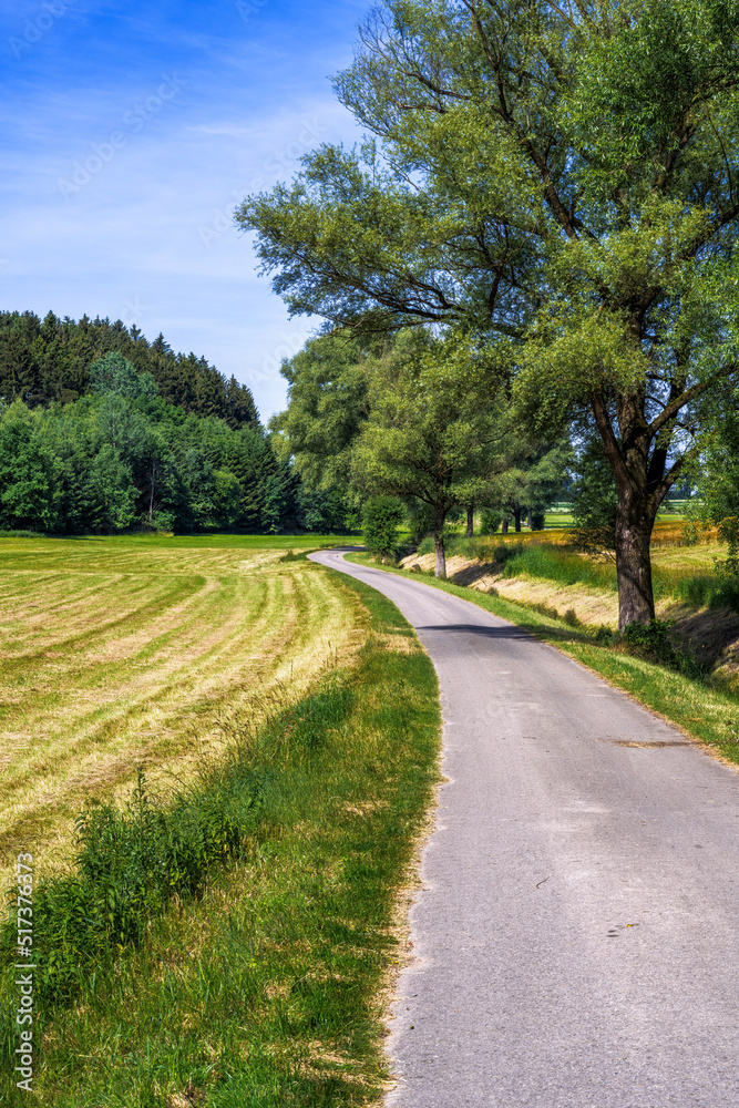 Winding country road in Bavaria