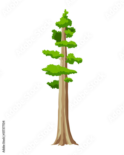 Tree. Eco concept of nature plant. Vector flat green tall pine tree icon isolated on white background. Evergreen coniferous tree. Garden botanical element
