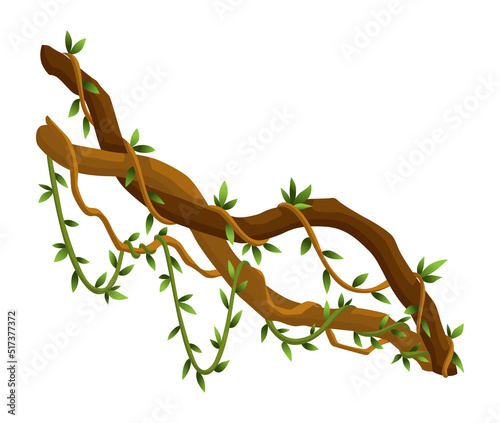 Twisted wild lianas branches banner. Jungle vine plants. Woody natural tropical rainforest, exotic botany