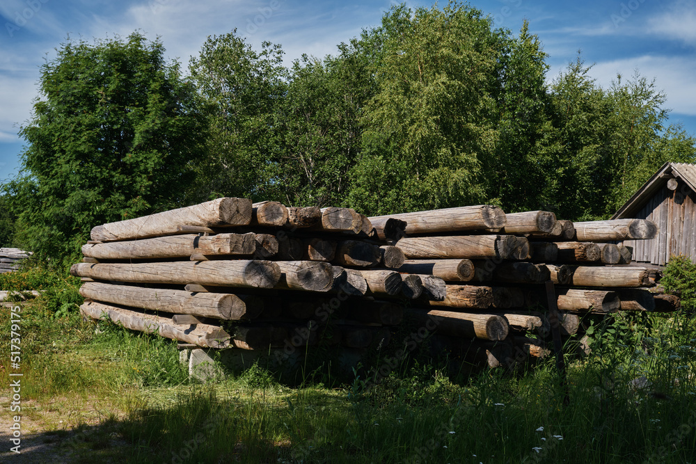 One of most beautiful villages of Karelia Kinerma in summer. A lot of massive logs for building a house lie in the garden on the grass. The concept of travel in Russia.