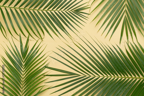 Tropical green palm leaves