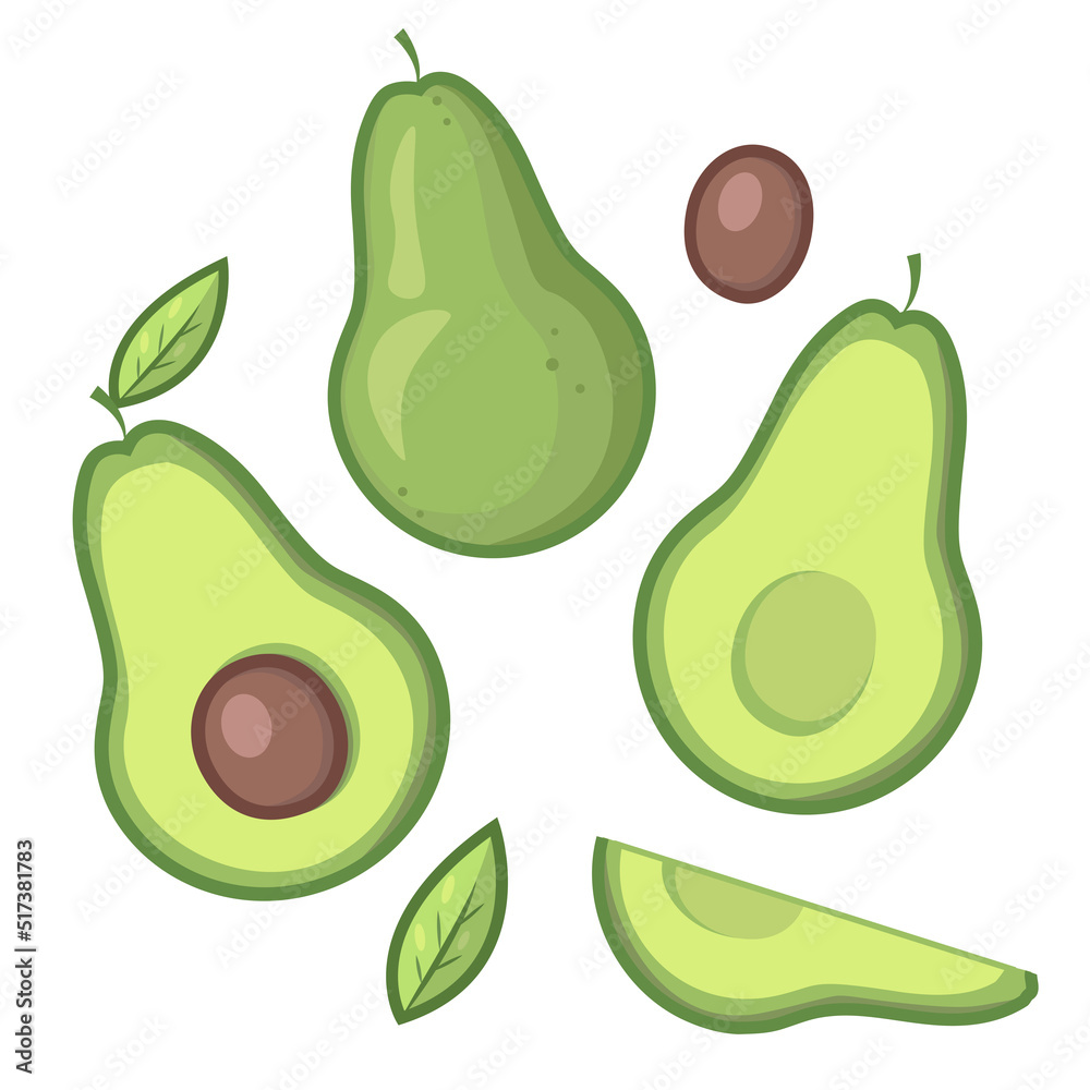 Isolated vector illustration of avocado Isolated vector illustration of avocado