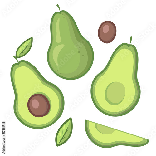 Isolated vector illustration of avocado