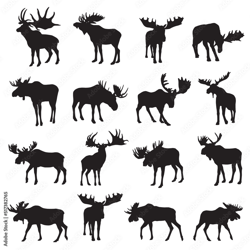 Obraz premium moose silhouettes