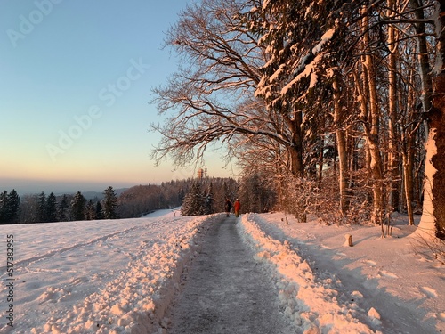 Wanderweg am Waldrand bei Schnee und Abendlicht -Abendrot und Schnee, Route Felsenegg - Buchenegg bei Zürich , Schweiz photo