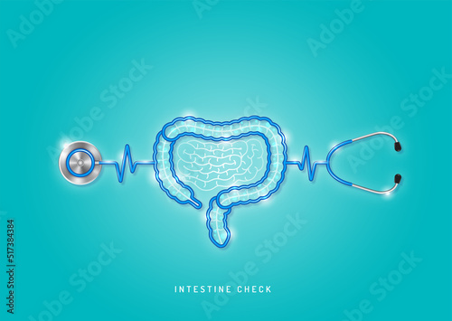 Healthcare and medical concept stethoscope shape intestine and checkup all organs. wishing you stay in good health.