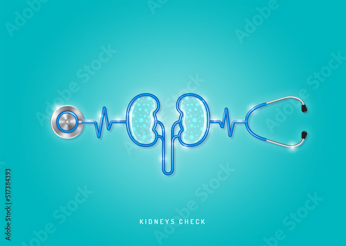 Healthcare and medical concept stethoscope shape kidneys and checkup all organs. wishing you stay in good health.
