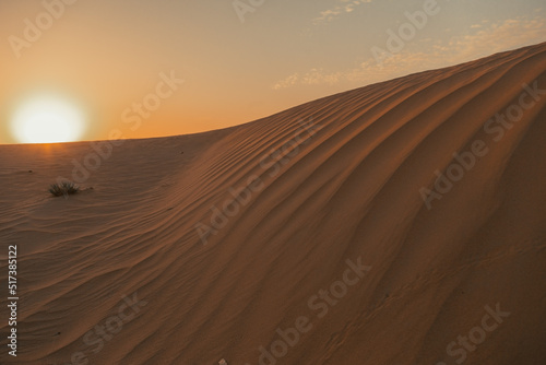 sand dunes in the desert