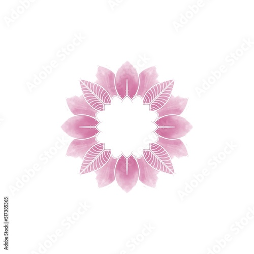 pink flower rose flowers on white backgrounds