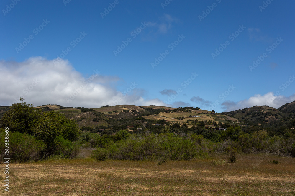 A view on the forrest with hills and sky A view on the forrest with hills and sky
