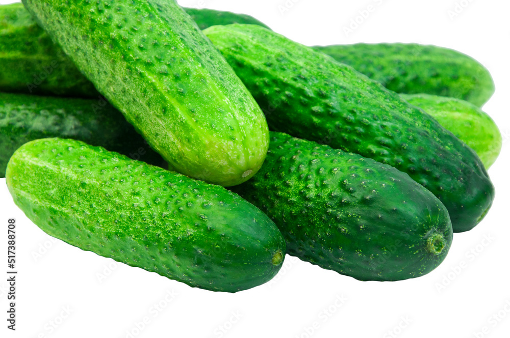 green cucumbers on a white background. ripe gherkins on a table. fresh vegetables on a light texture. the concept of growing cucumbers green cucumbers on a white background. ripe gherkins on a table. fresh vegetables on a light texture. the concept of growing cucumbers