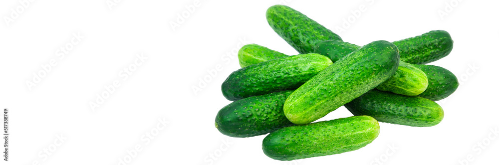 green cucumbers on a white background. ripe gherkins on a table. fresh vegetables on a light texture. the concept of growing cucumbers green cucumbers on a white background. ripe gherkins on a table. fresh vegetables on a light texture. the concept of growing cucumbers