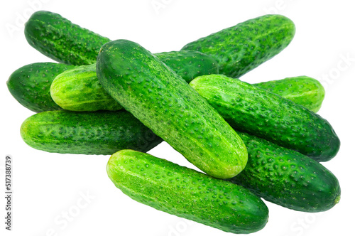 green cucumbers on a white background. ripe gherkins on a table. fresh vegetables on a light texture. the concept of growing cucumbers