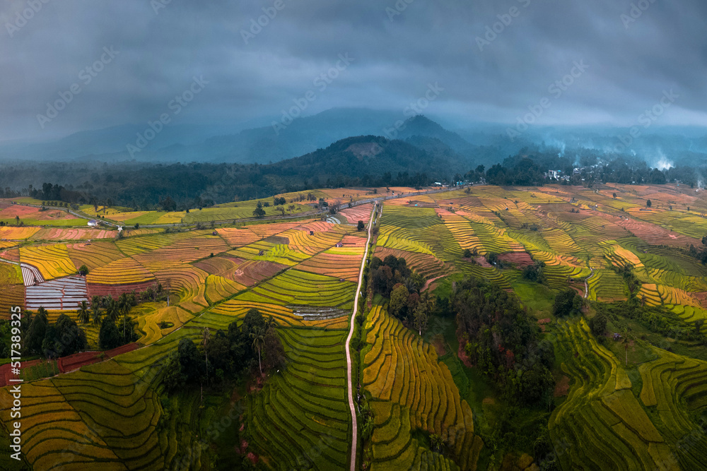 Aerial photo of Indonesian nature with yellowing rice fields and beautiful terraces in bad weather
