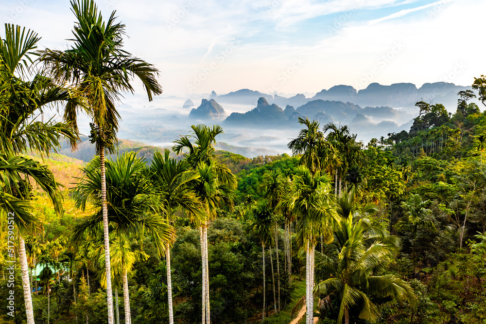 Rice terraces near Doi Tapang viewpoint in Chumphon, Thailand