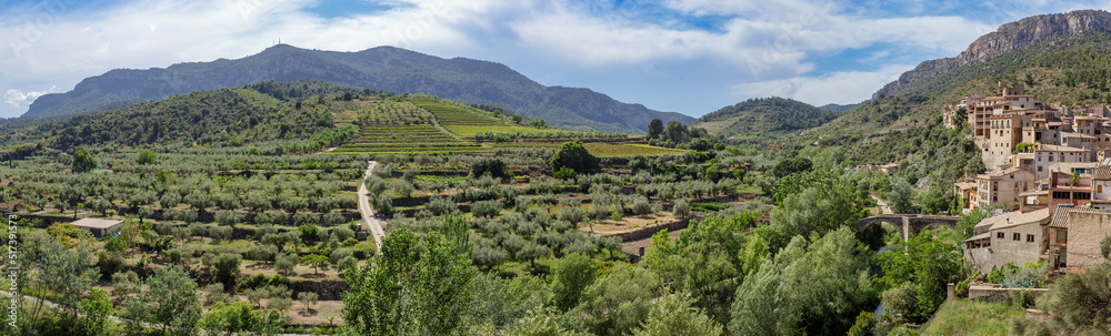 Views of olive trees from Vilella Baixa village in Priorat area, Catalonia, Spain