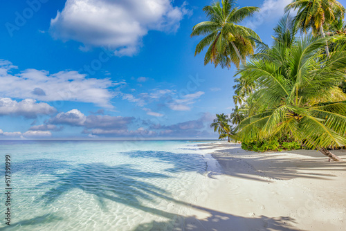 Best tropical beach landscape. Fantastic summer coast  vacation destination  palm trees  white sand  sunny sky. Freedom travel  amazing sea lagoon  paradise shore nature landscape. Beautiful beach